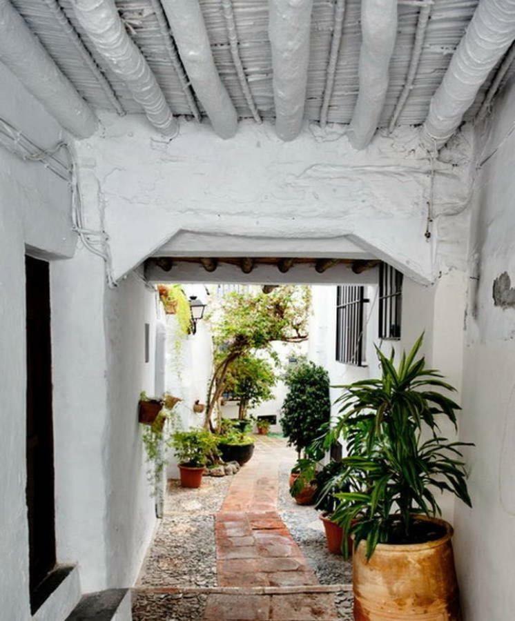 Apartmán Olivo 15H Frigiliana Exteriér fotografie