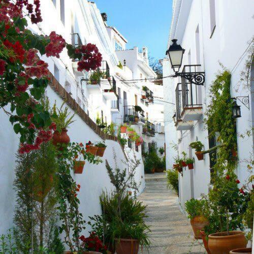 Apartmán Olivo 15H Frigiliana Exteriér fotografie